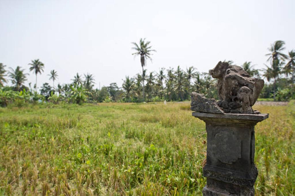 Villa Nyoman Ubud Exterior foto